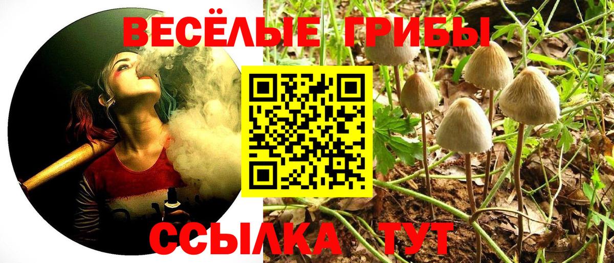 наркота  Вход с VPN  Сунжа  Псилоцибиновые грибы прущие грибы 