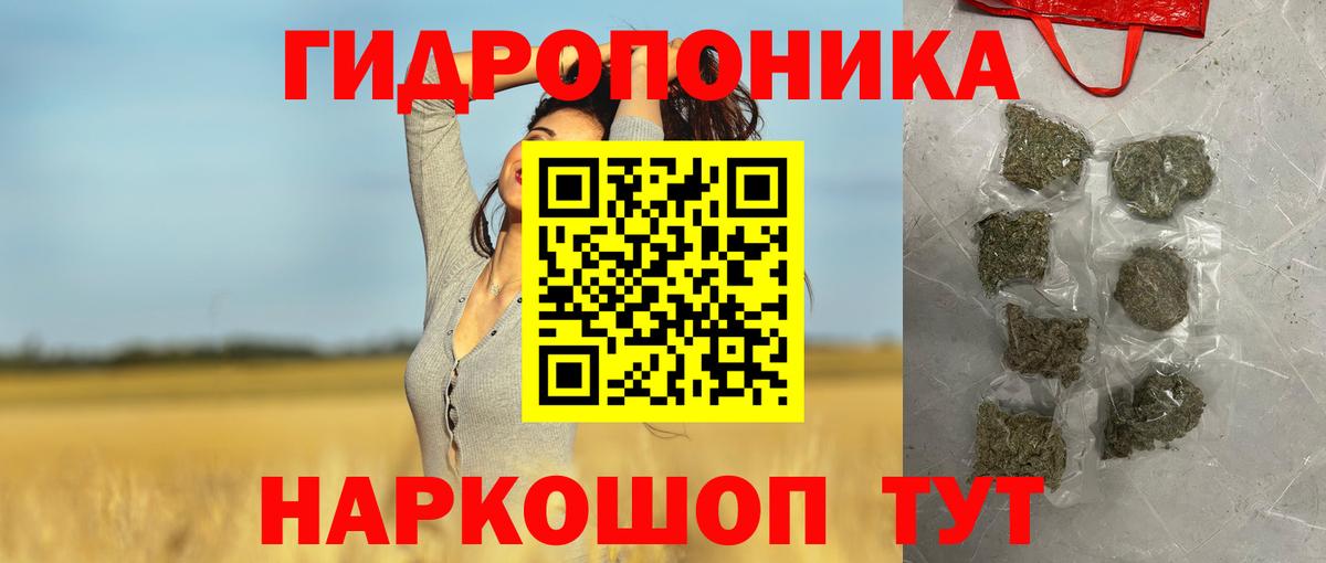 Марихуана конопля Сунжа